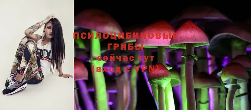 Псилоцибиновые грибы Magic Shrooms  где можно купить   Зеленоградск 